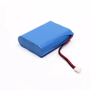251235306 battery